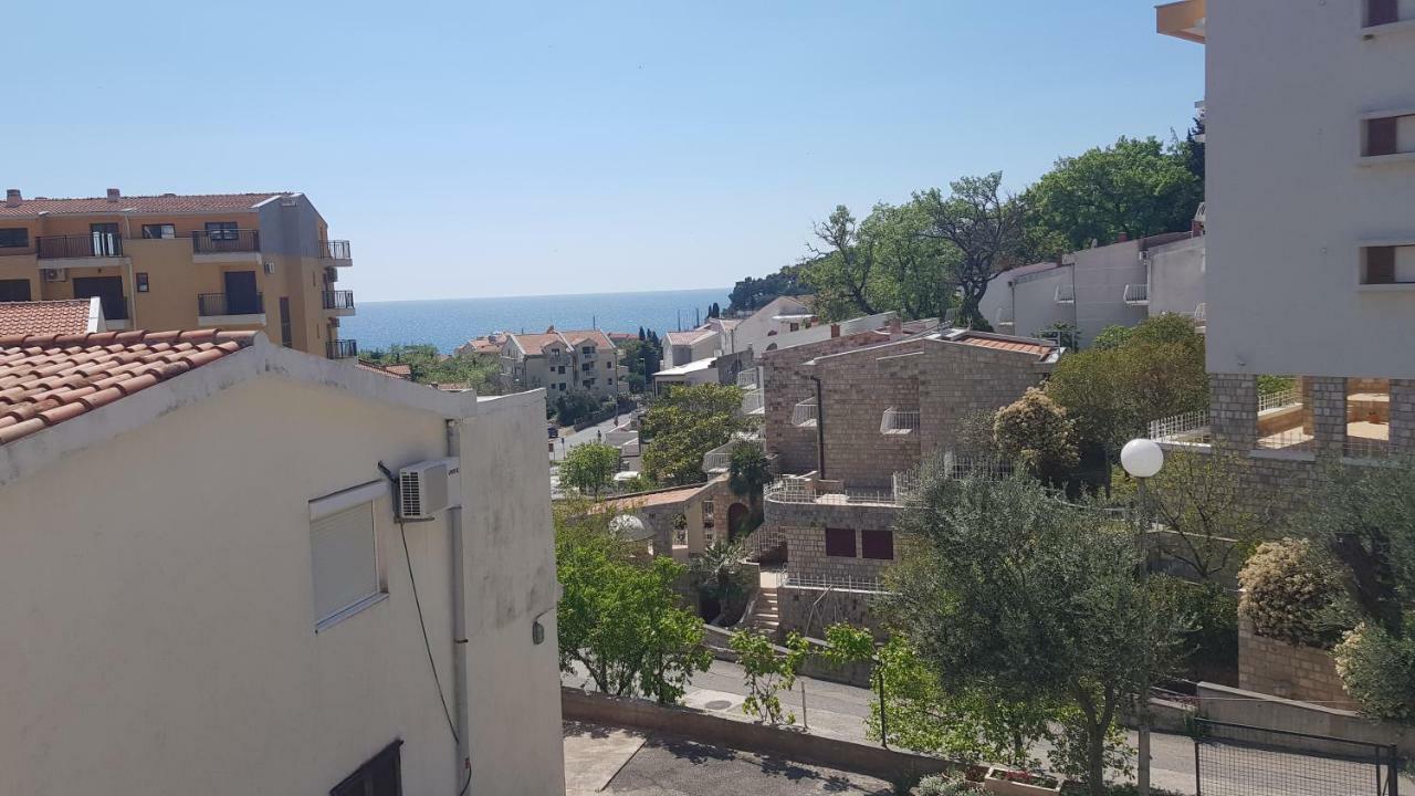 Apartmani Irena Petrovac 客房 照片
